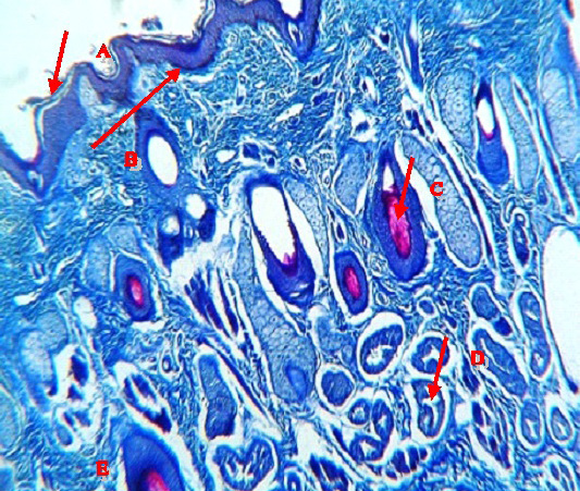 Figure 10: