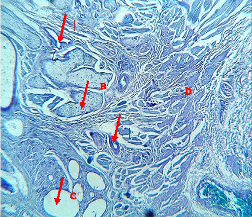 Figure 12: