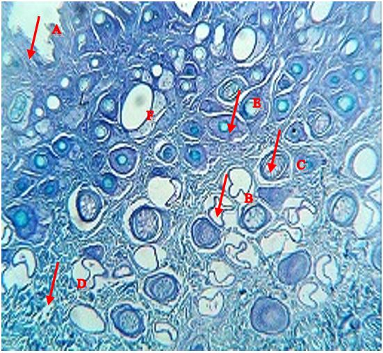 Figure 9:
