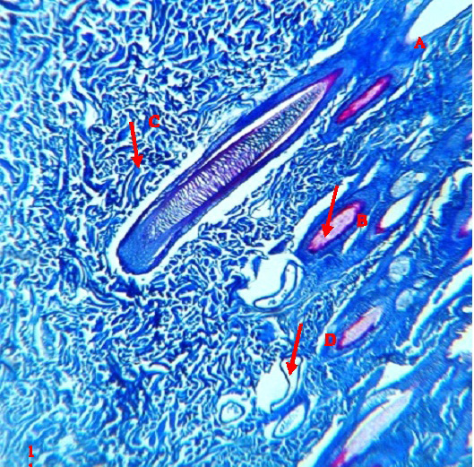Figure 13: