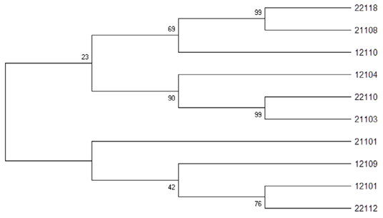 Figure 4: