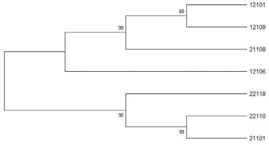 Figure 5: