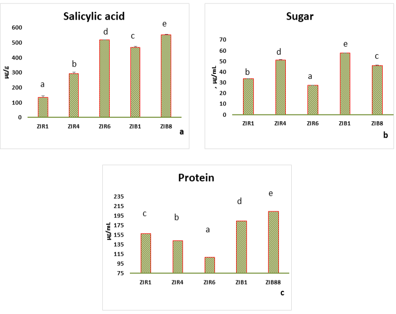 Figure 3: