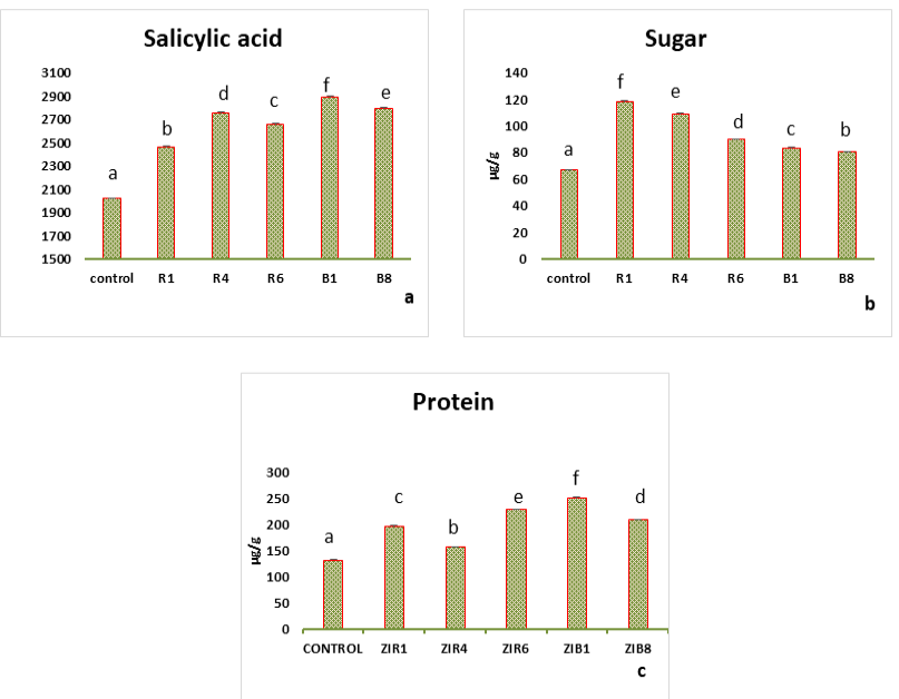 Figure 4: