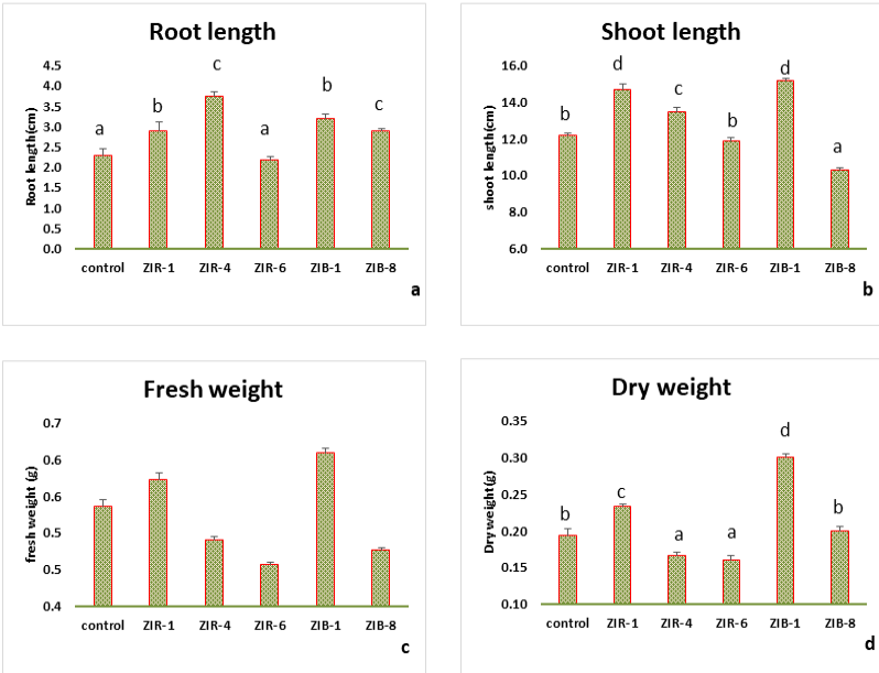 Figure 2: