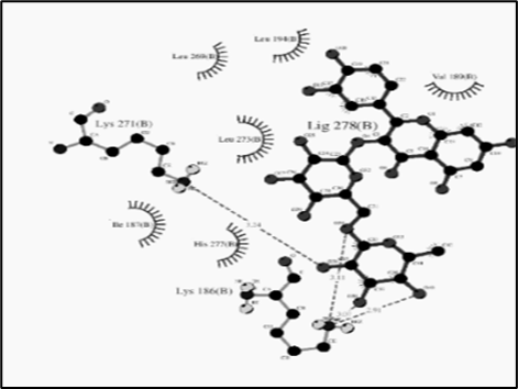 Figure 6: