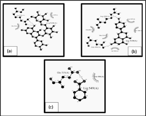 Figure 4: