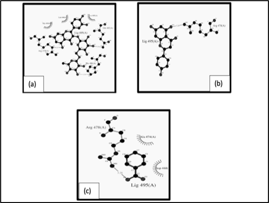 Figure 3: