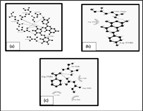 Figure 5: