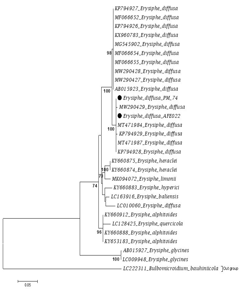 Figure 3: