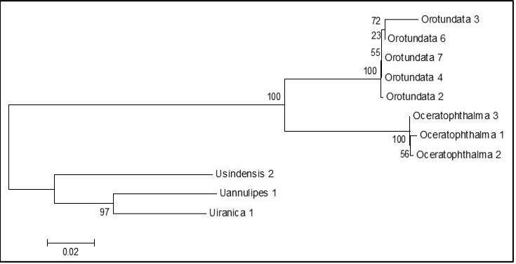 Fig. 4.