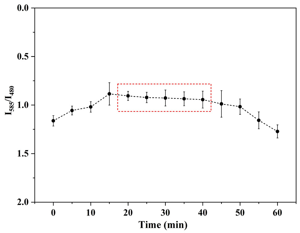 Fig. 2.