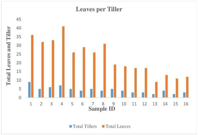 Figure 6: