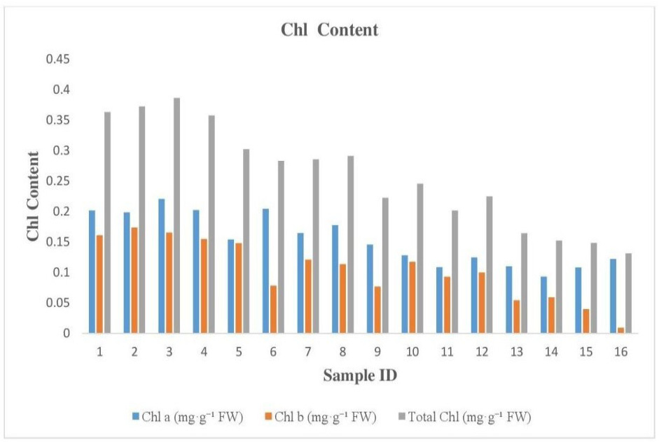 Figure 3: