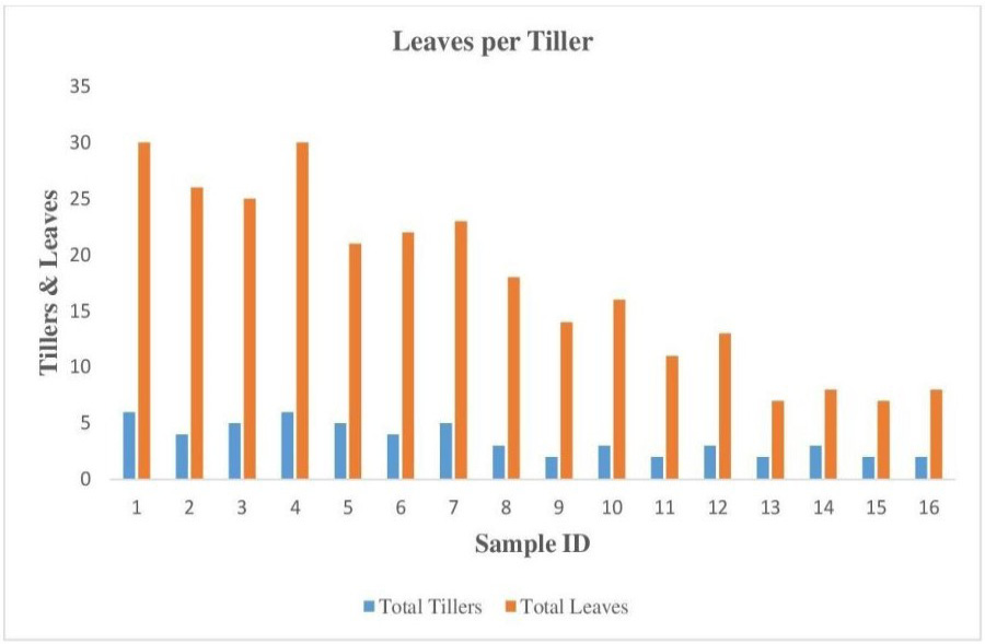 Figure 9: