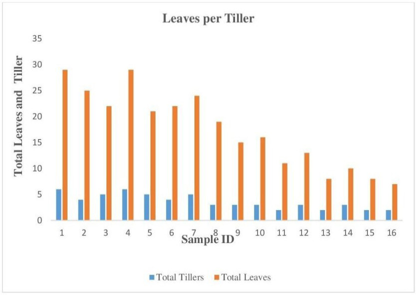 Figure 7: