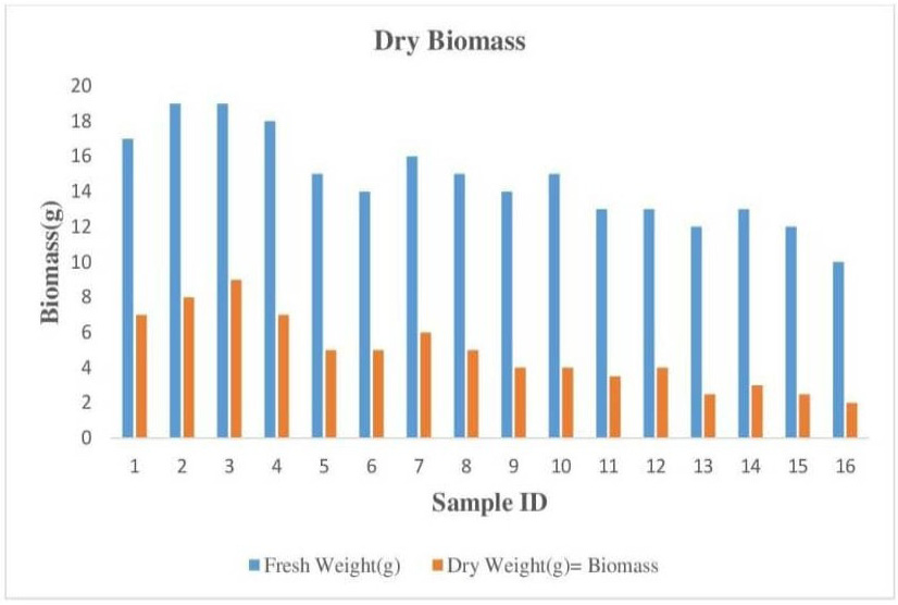 Figure 14:
