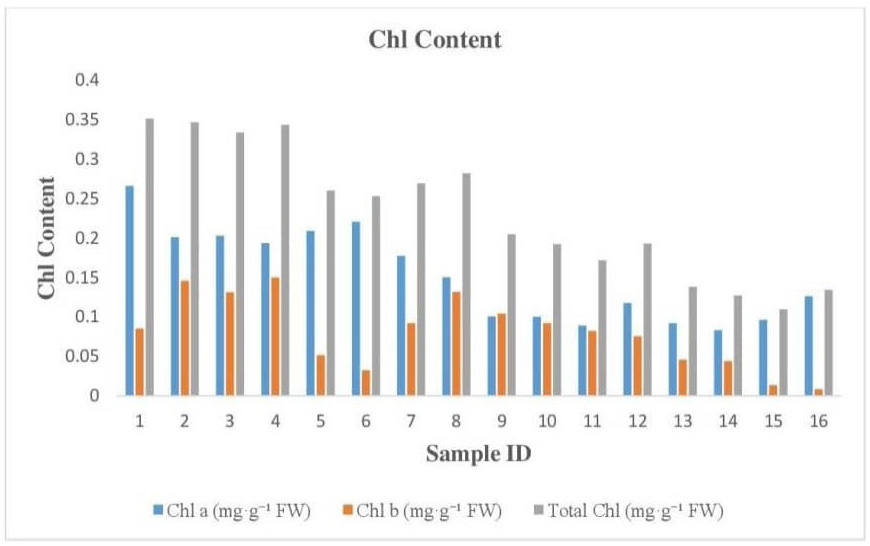 Figure 5: