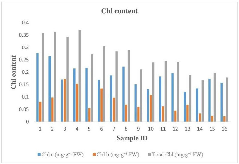 Figure 4: