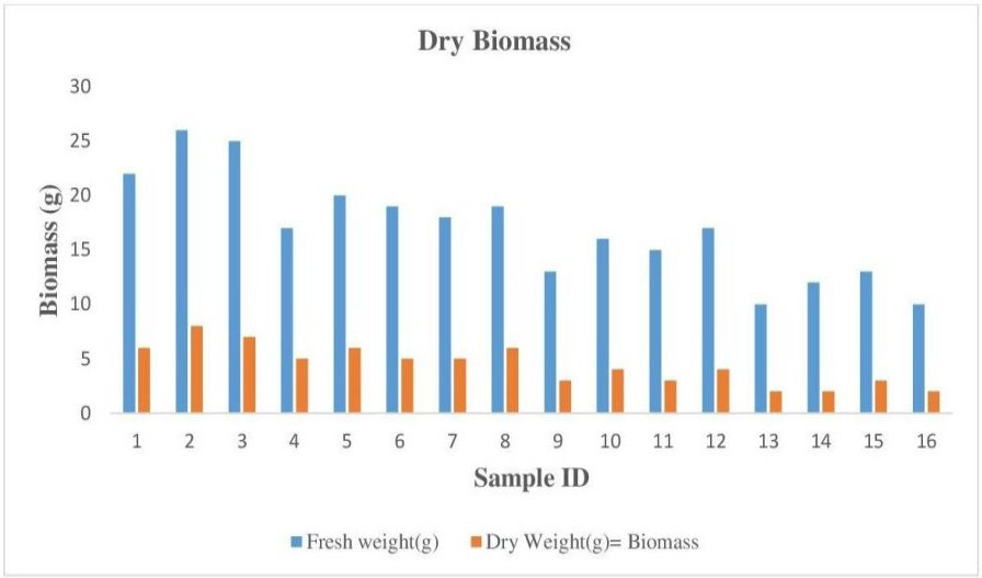 Figure 15: