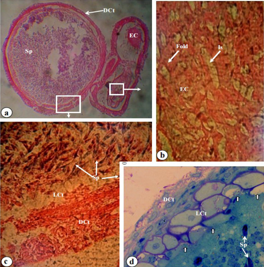 Figure 5: