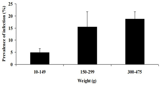 Figure 3:
