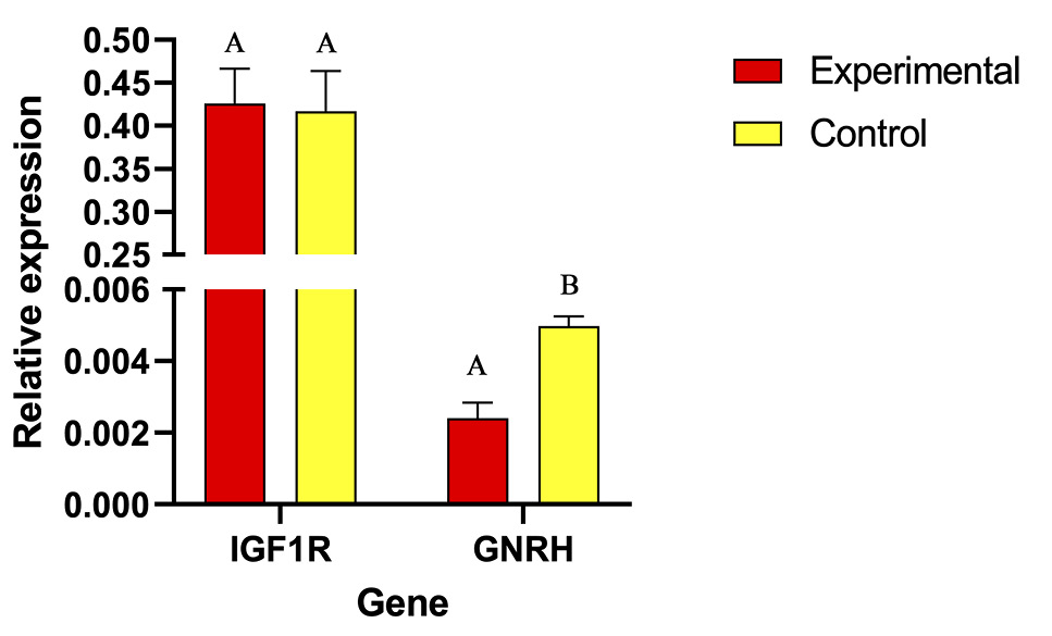 Fig. 10.