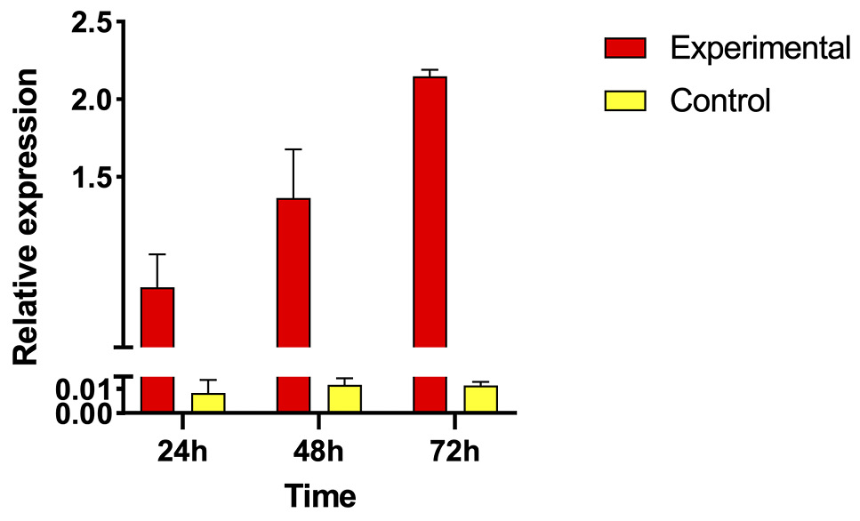 Fig. 9.