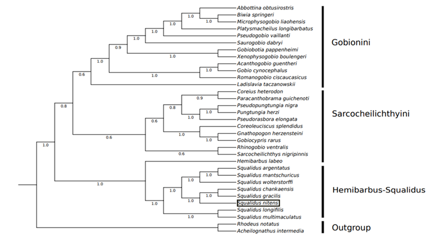 Fig. 3.