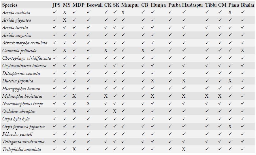 Table 2: