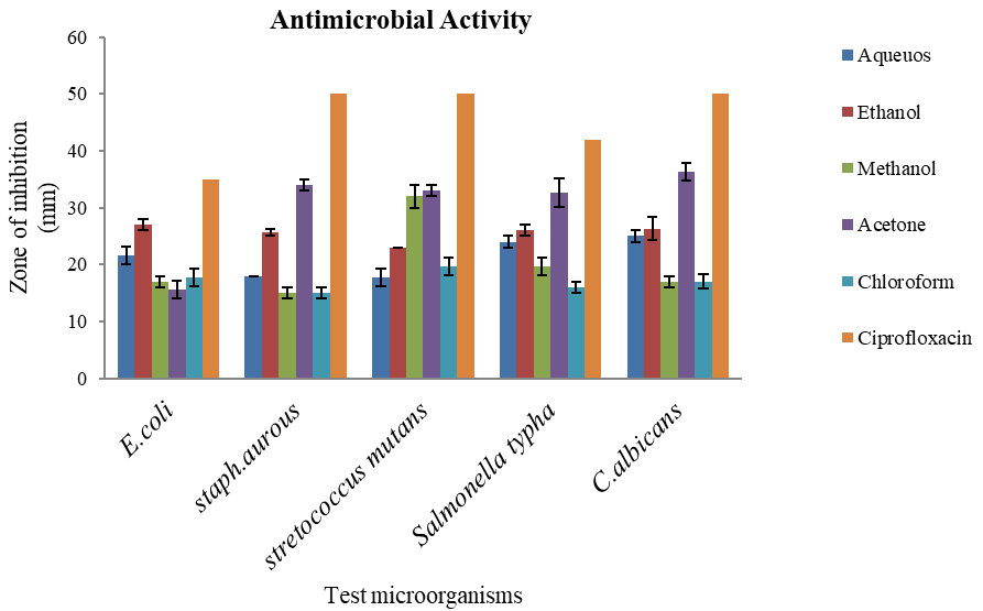 Figure 2: