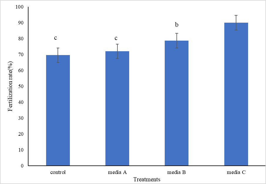 Figure 4: