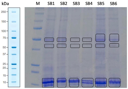 Figure 2: