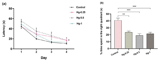 Figure 6:
