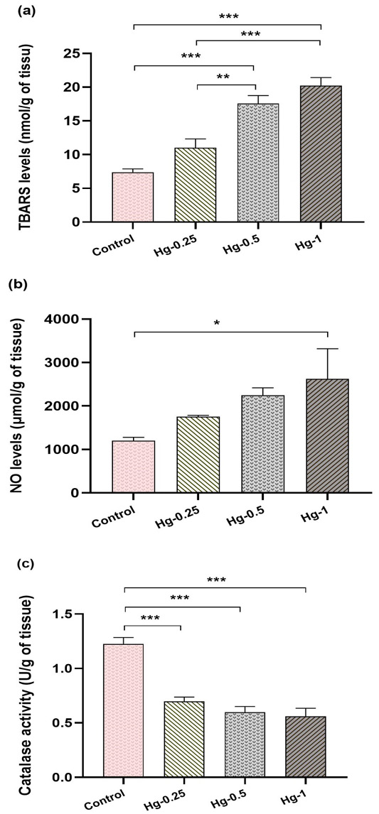 Figure 7: