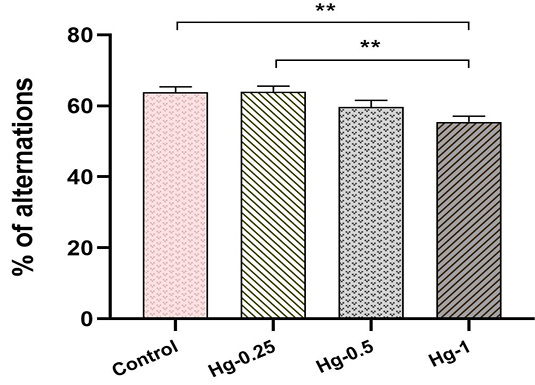 Figure 5: