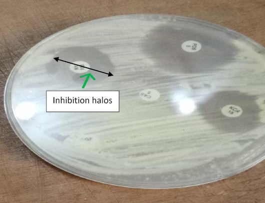 Figure 6: