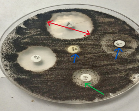 Figure 7: