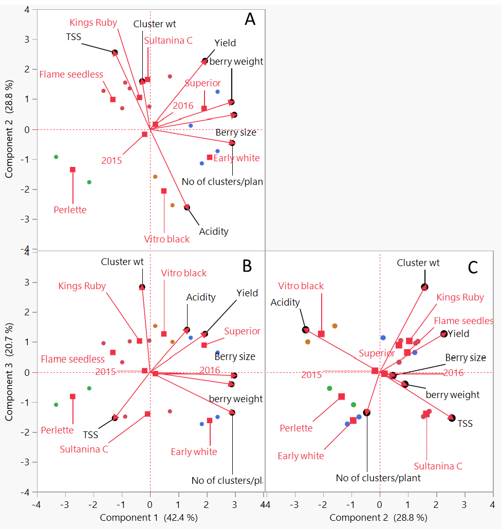 Figure 2: