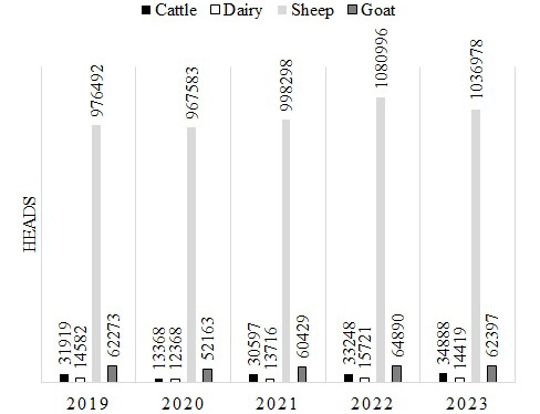 Figure 4: