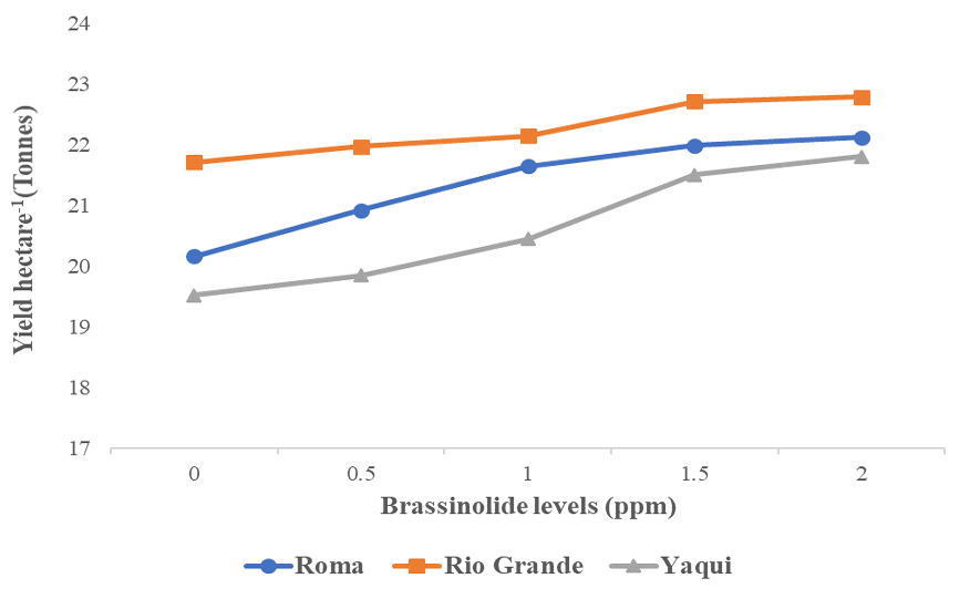 Figure 3: