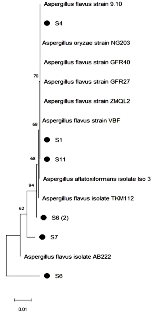 Figure 4: