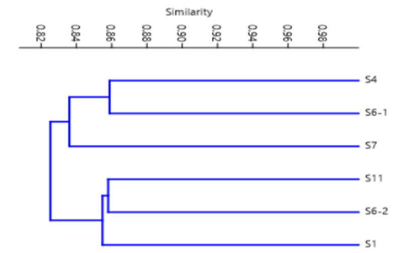 Figure 7: