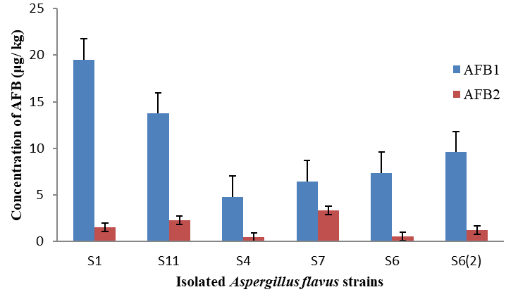 Figure 2: