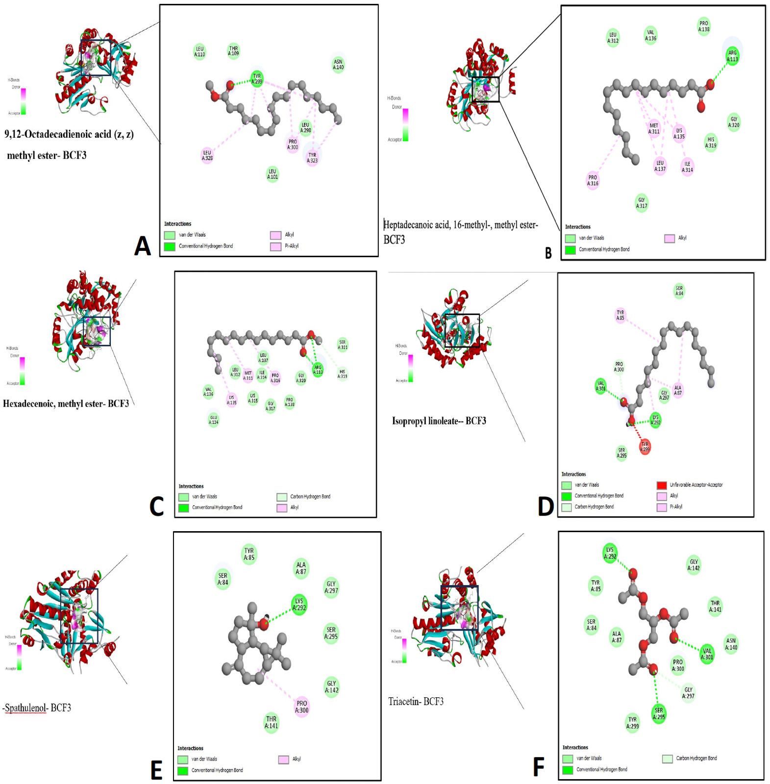 Figure 5: