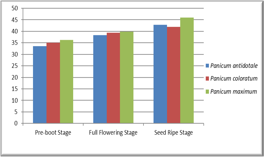 Figure 6: