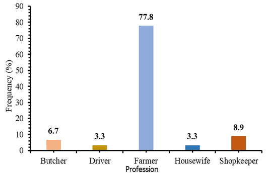 Figure 2: