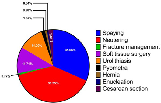Figure 2: