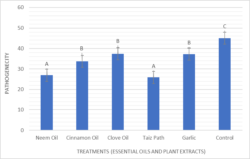 Figure 10: