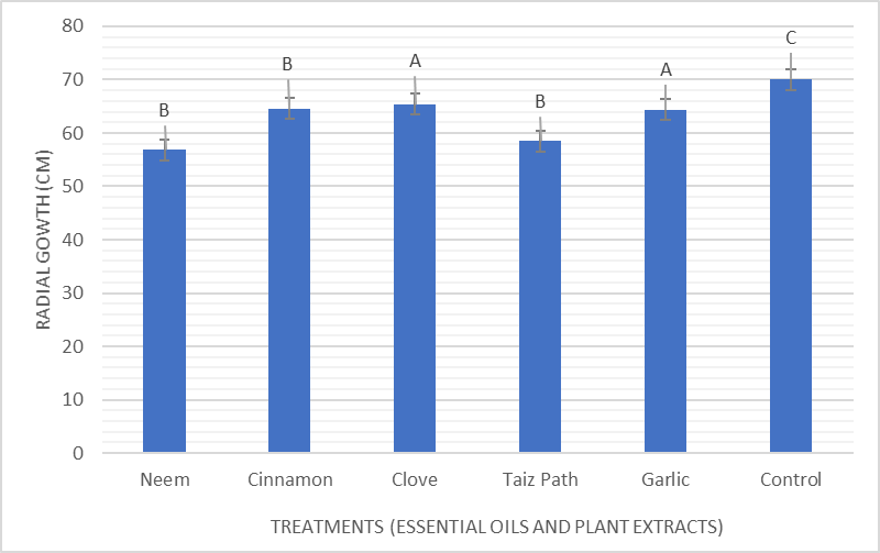 Figure 7: